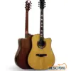 Dotch Acoustic Guitar